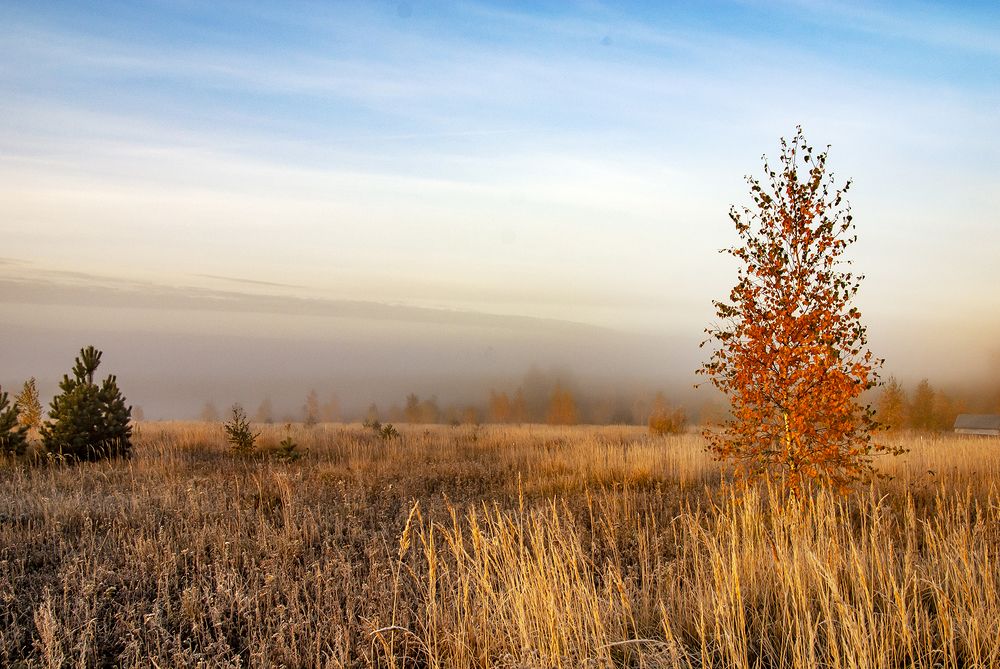 Photograph by Алексей Окунеев
