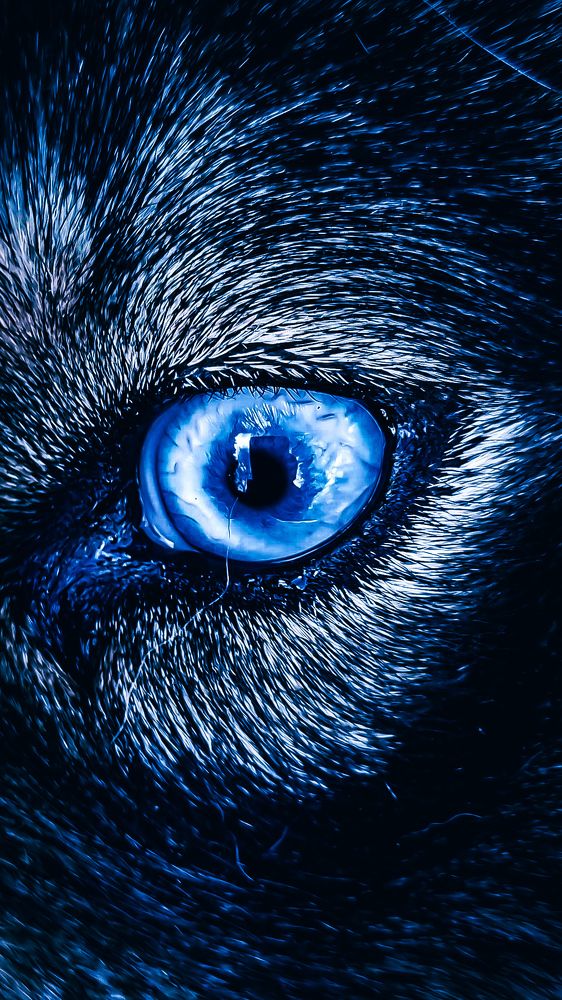 Фотография автора Всеволод Юрша