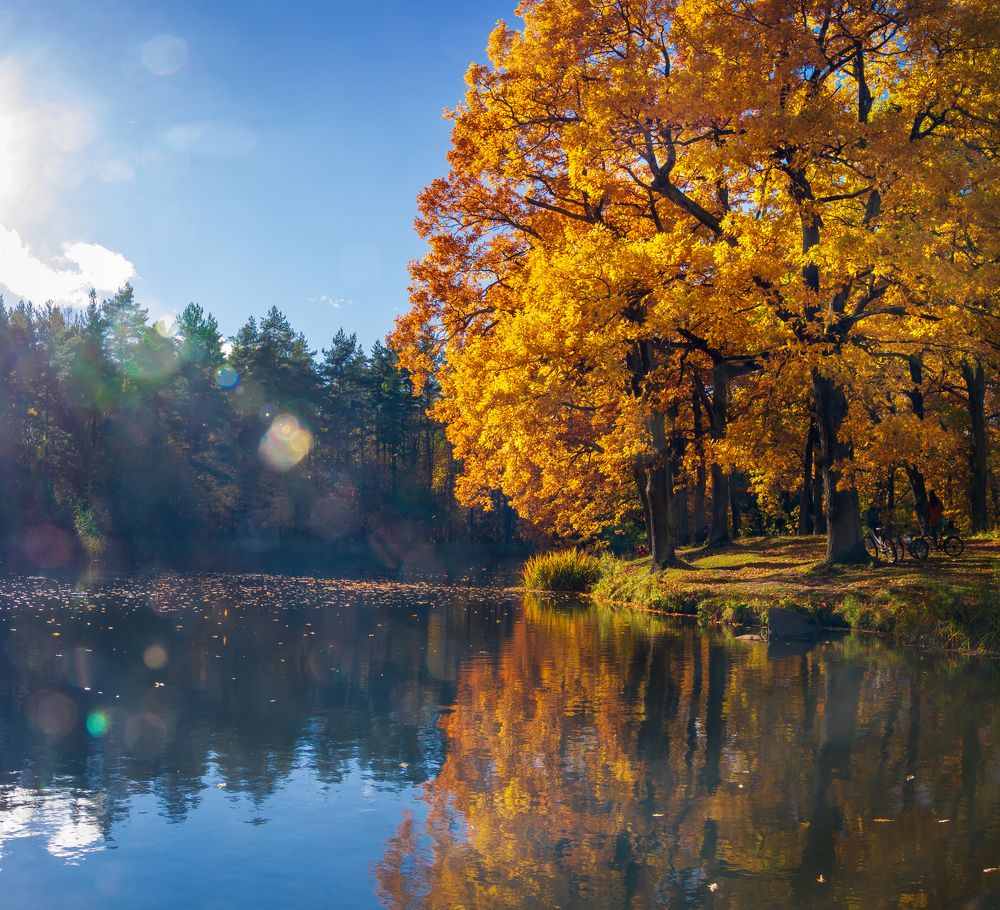 Photograph by Игорь Парсаданов