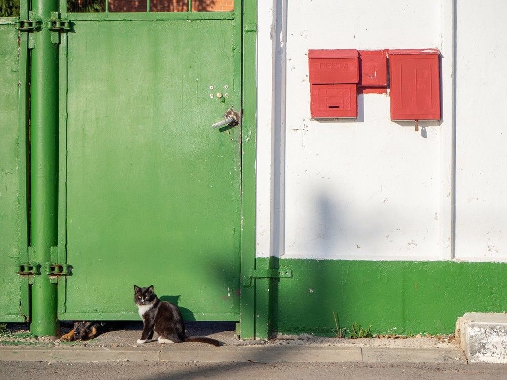 Photograph by Степанов Евгений