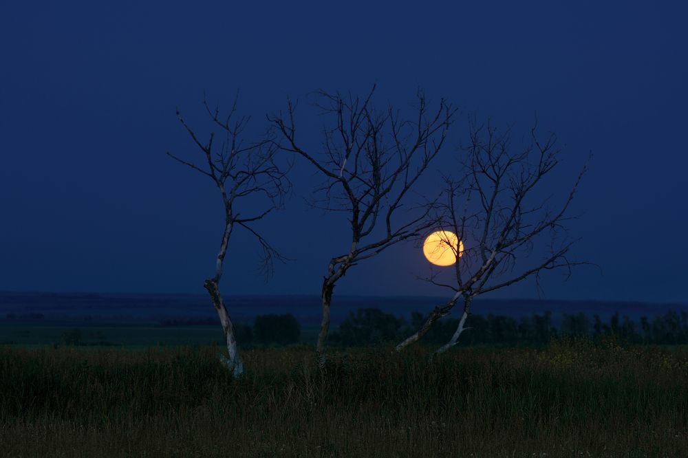 Photograph by Наталия Брянцева