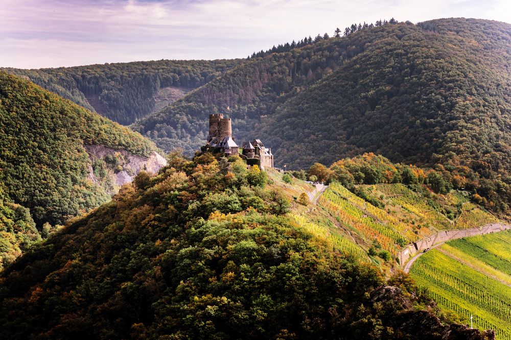 Photograph by Irina Tischer