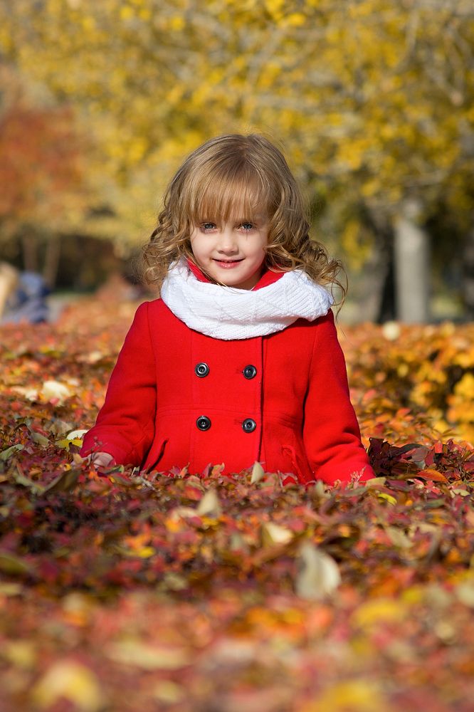 В красках осени