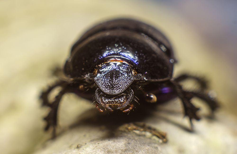 Photograph by Василий Либко