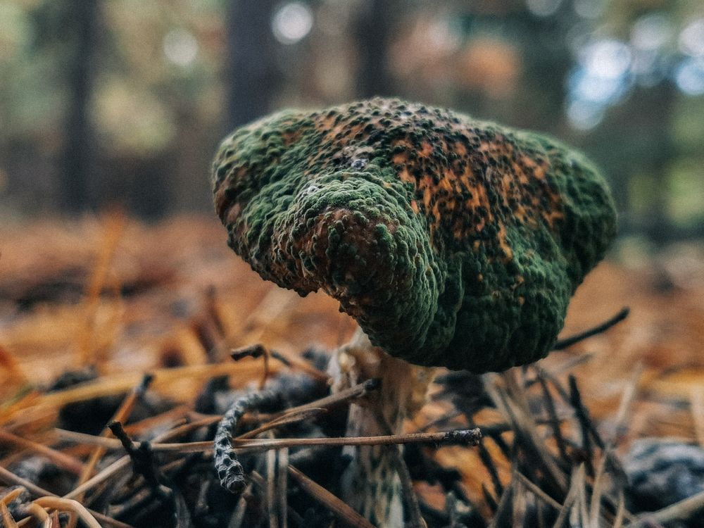 Photograph by Данил Батурин