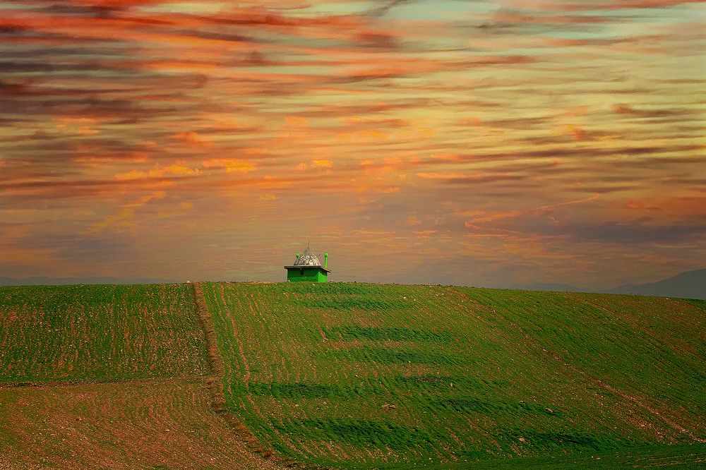 Фотография автора Milad Falahi