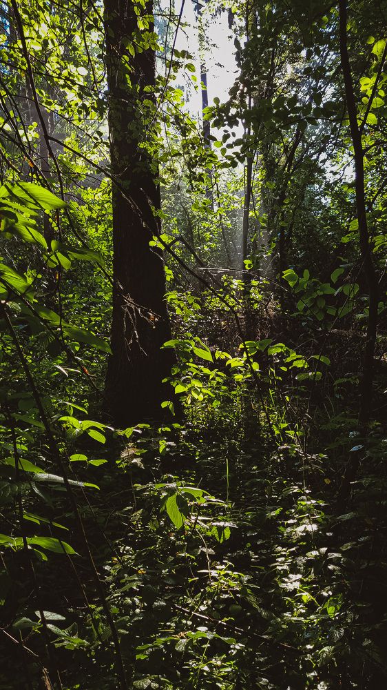 Фотография автора Всеволод Юрша