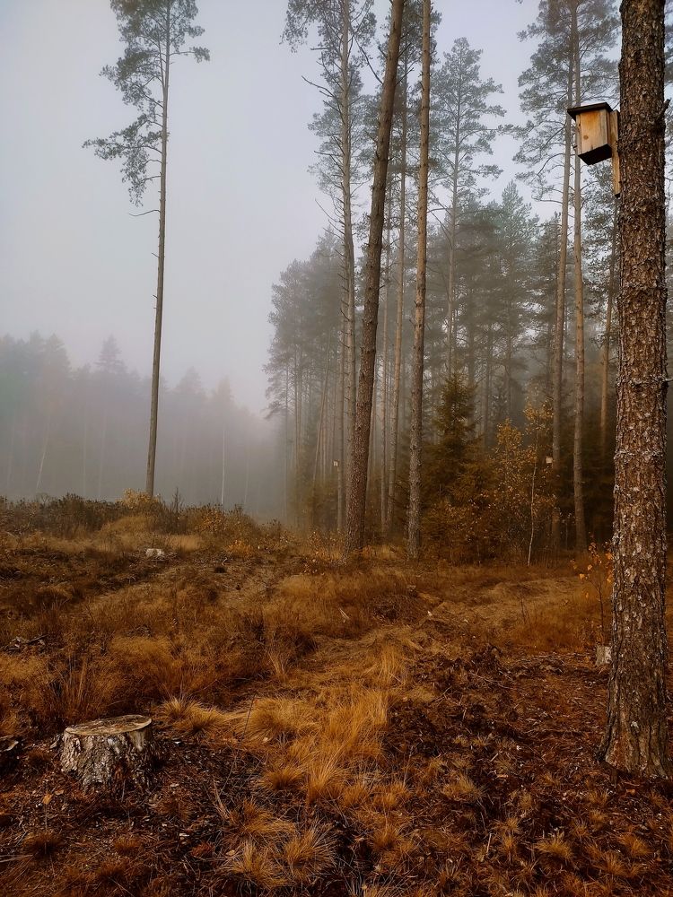 Photograph by Евгений Белов