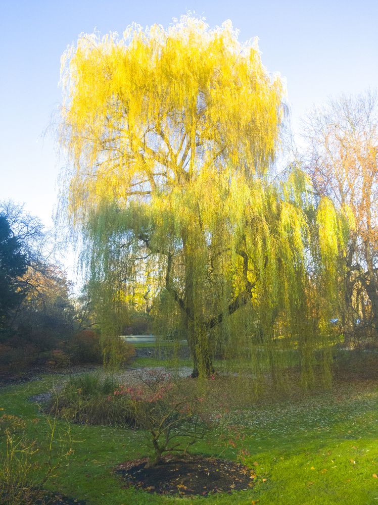 Photograph by Dariusz Gruszka