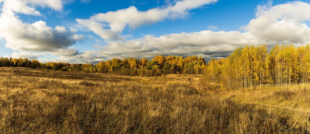 Photograph by Алексей Чеботарев