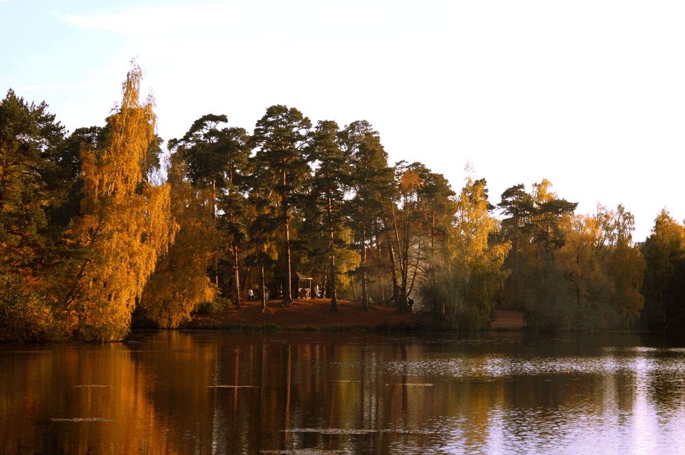 Photograph by Натали ДанКо