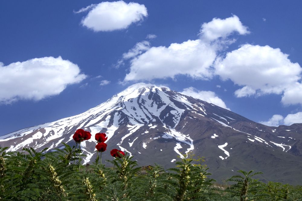 Фотография автора Milad Falahi