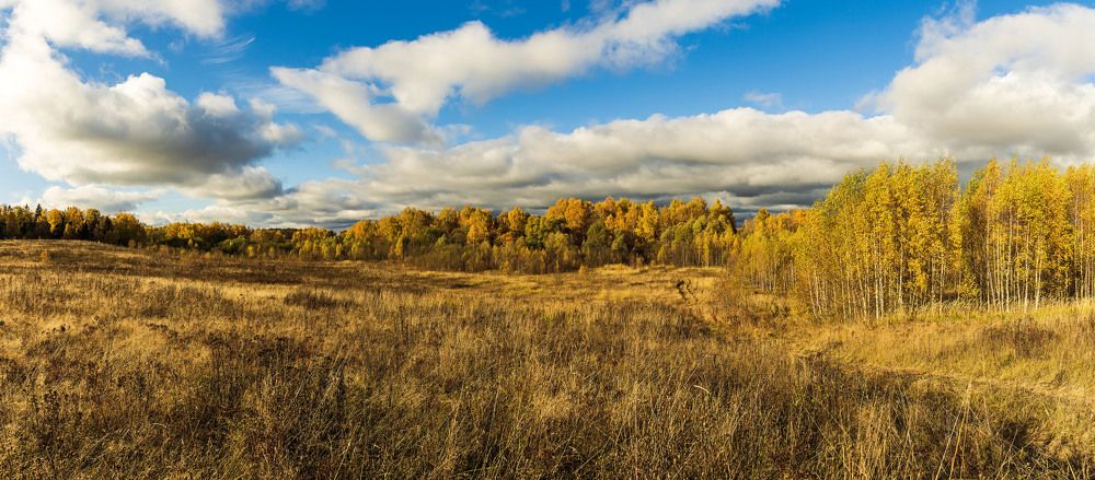 Photograph by Алексей Чеботарев