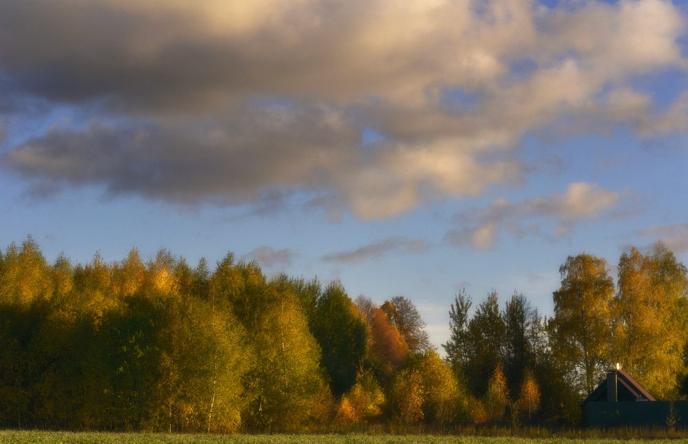 Photograph by Николай Алексеев