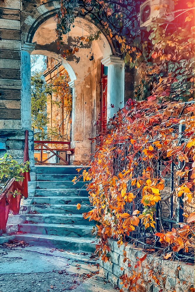 Photograph by Александр Друкар