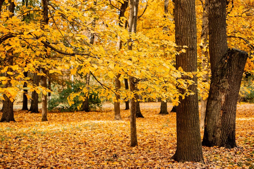 Photograph by Анастасия Панова