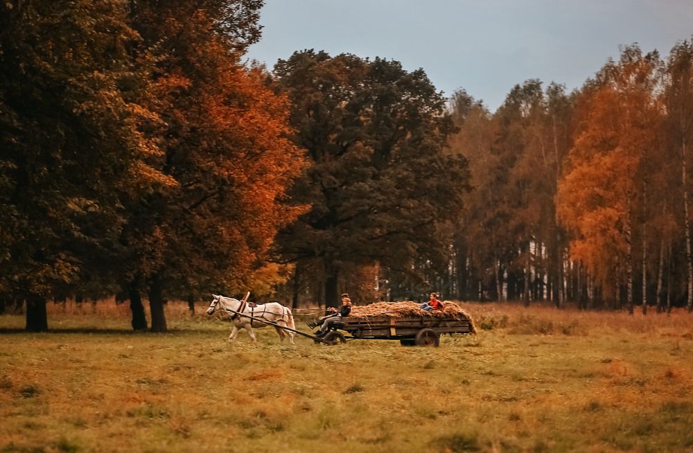 Photograph by Марина Шадрина