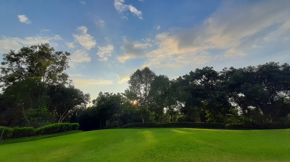 Photograph by Mostafa Shahriar