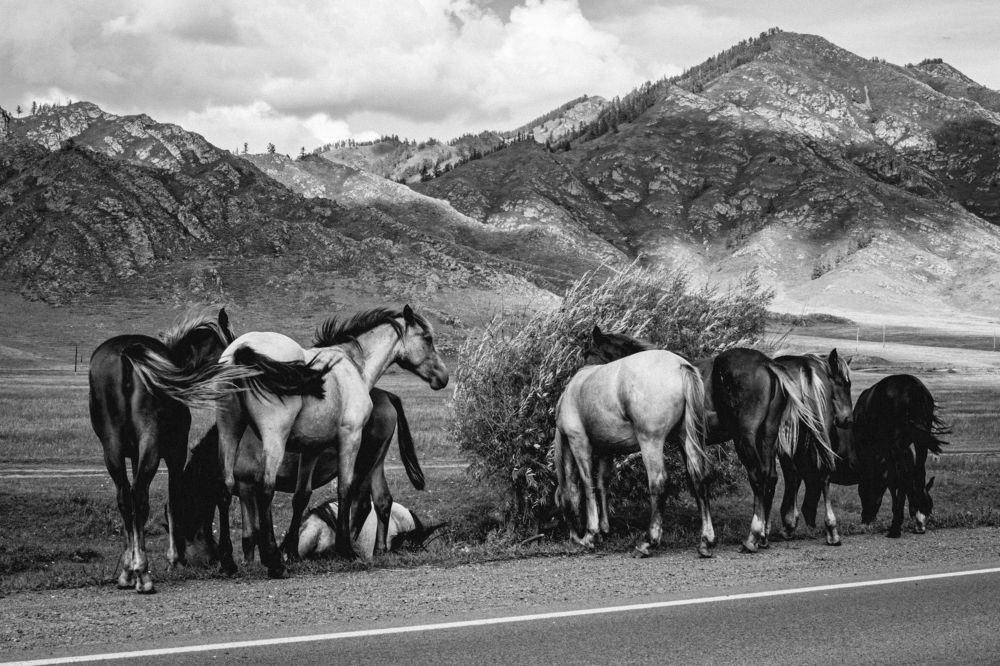 Photograph by Андрей Шишлов