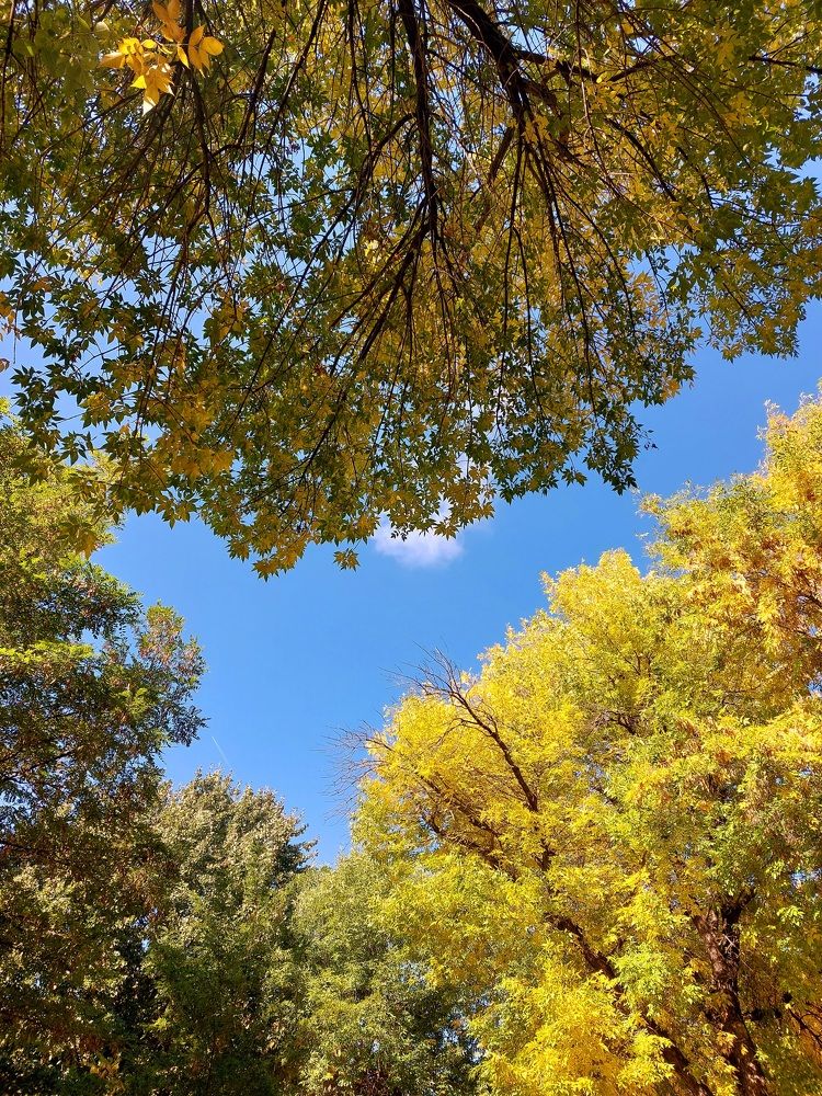 Photograph by Нина Паршина