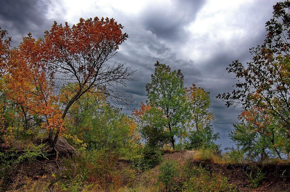 Photograph by Анатолий Святой