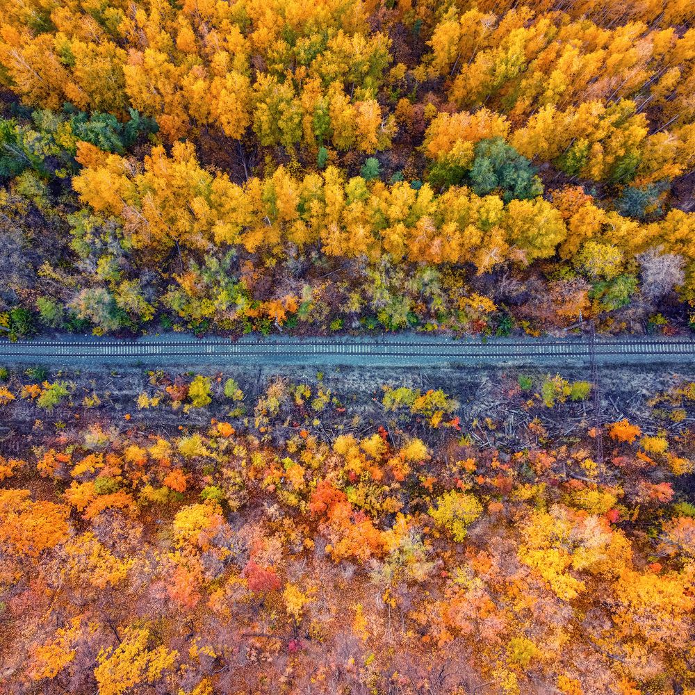 Photograph by Сергей Максимов