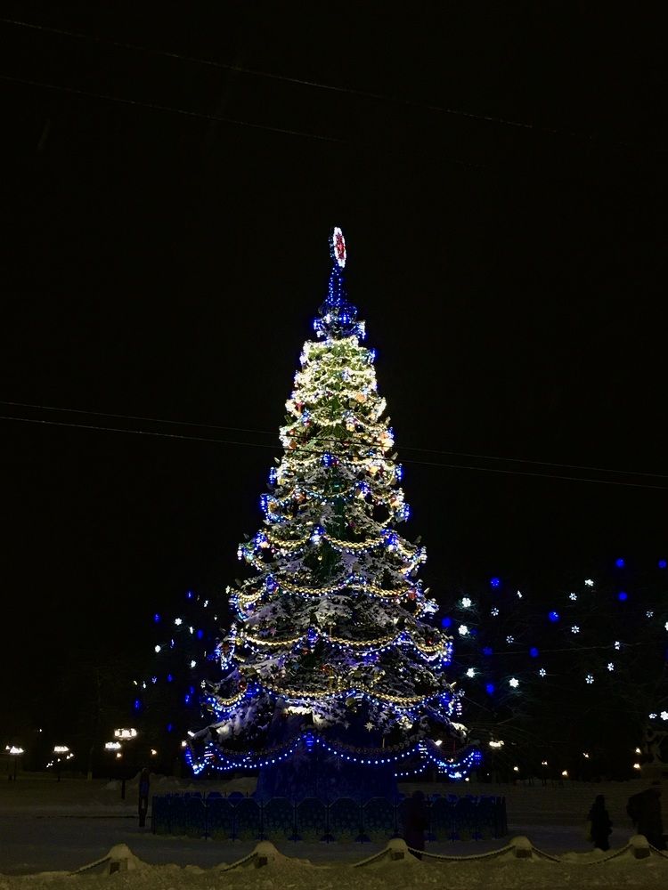 Photograph by Елизавета Большакова