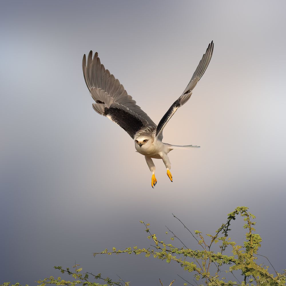 Фотография автора Paul Manjooran