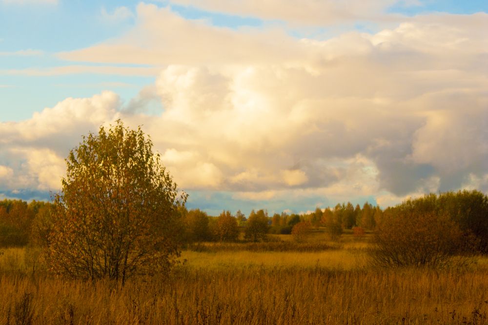 Photograph by Александр Середа