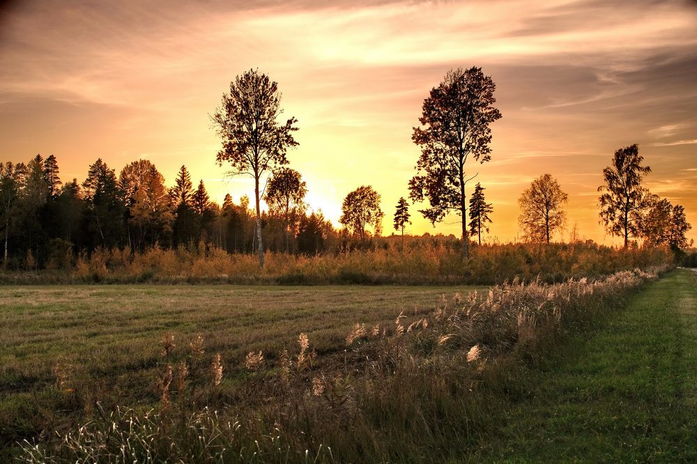 Photograph by Vitalijs Kopa