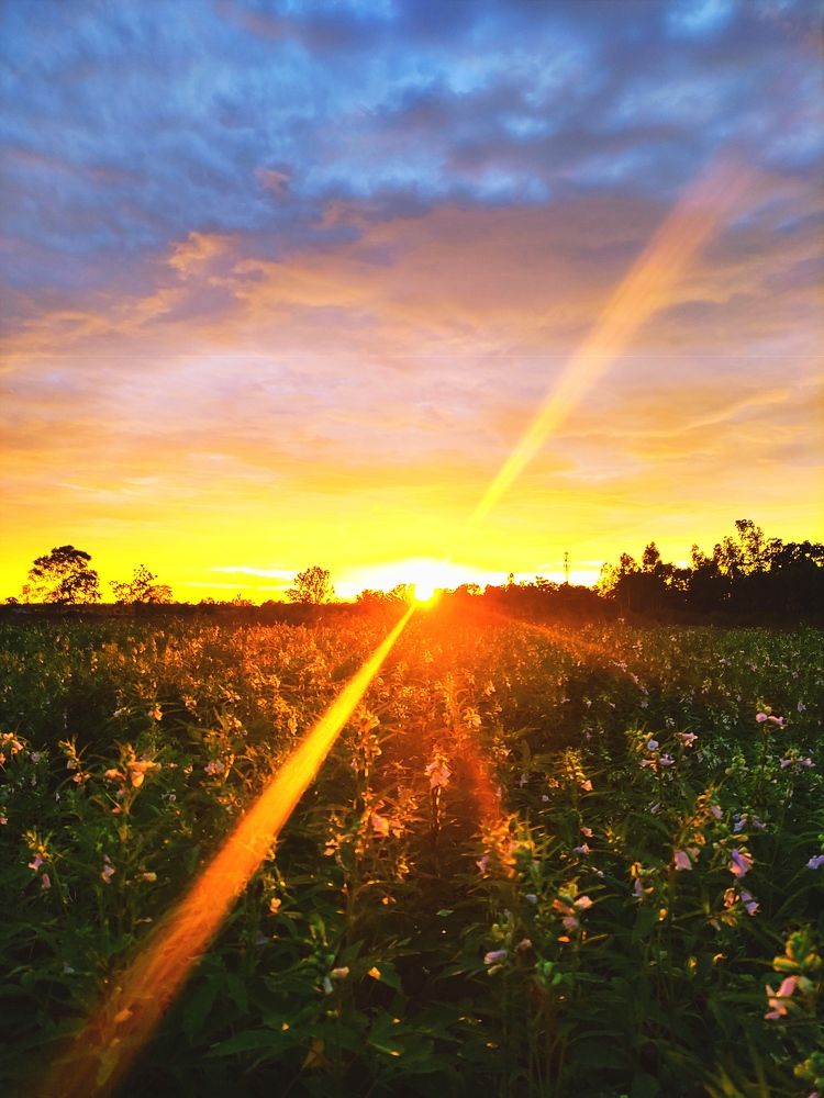 Фотография автора Rohitdadhwal