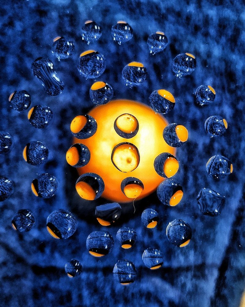 Фотография автора Гвоздецкая Анна