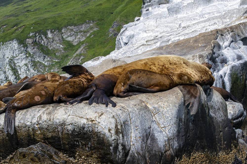 Photograph by Татьяна Решетникова