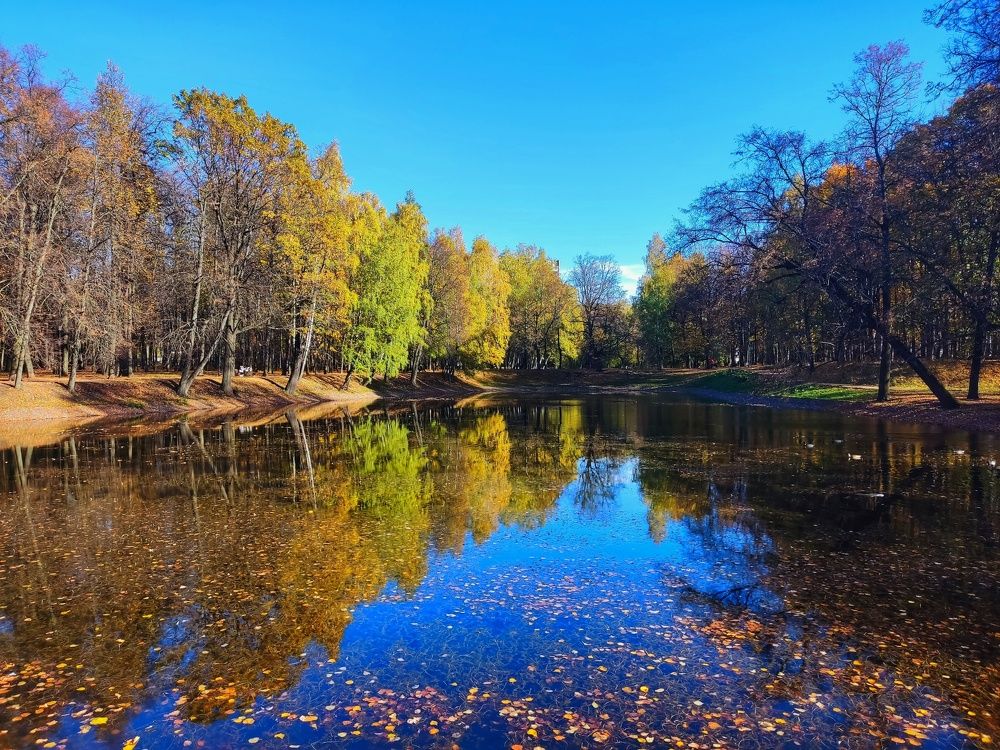 Photograph by Елена Рязанова
