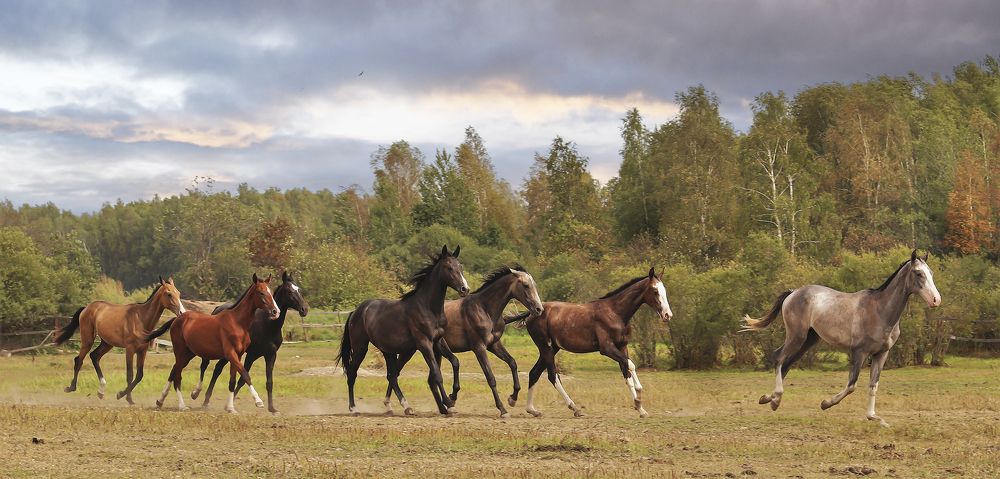 Photograph by александр лялин