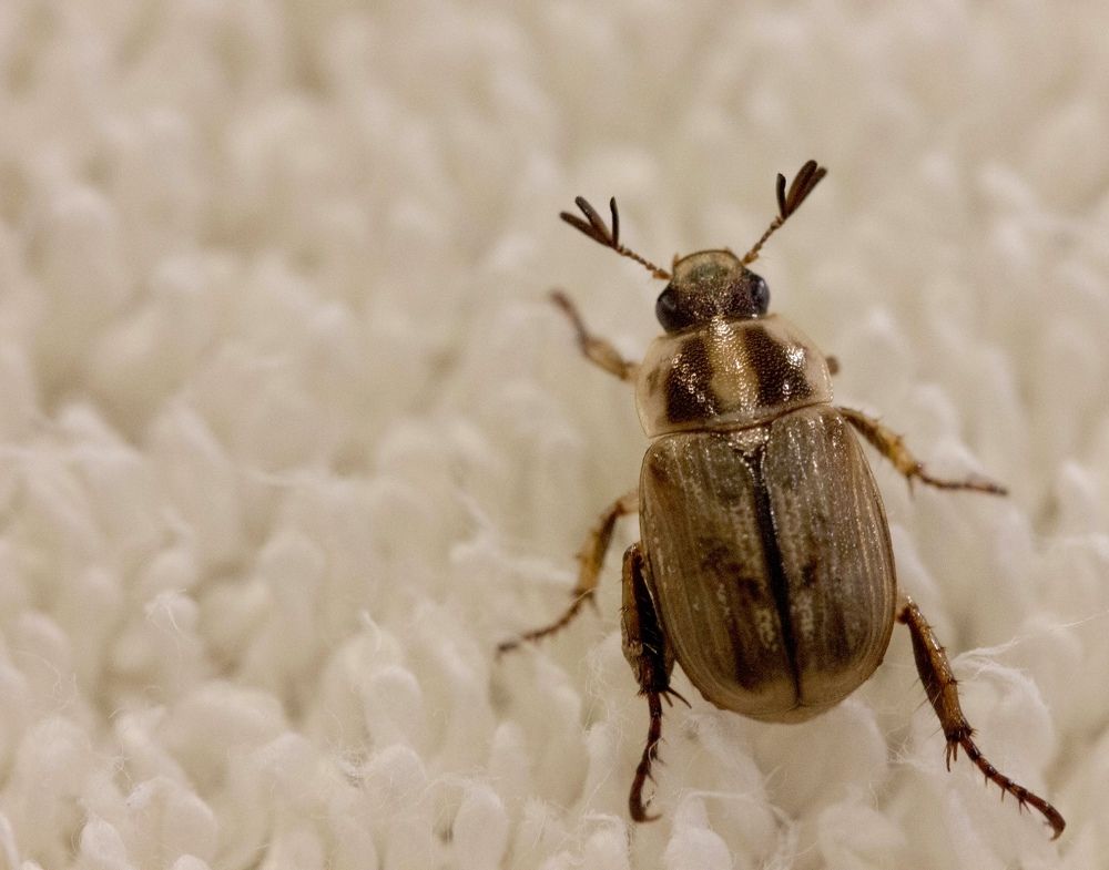 Фотография автора Ираида Гайфуллина