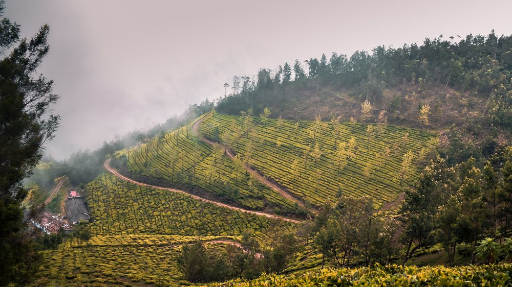 Photograph by vignesh dharmendra