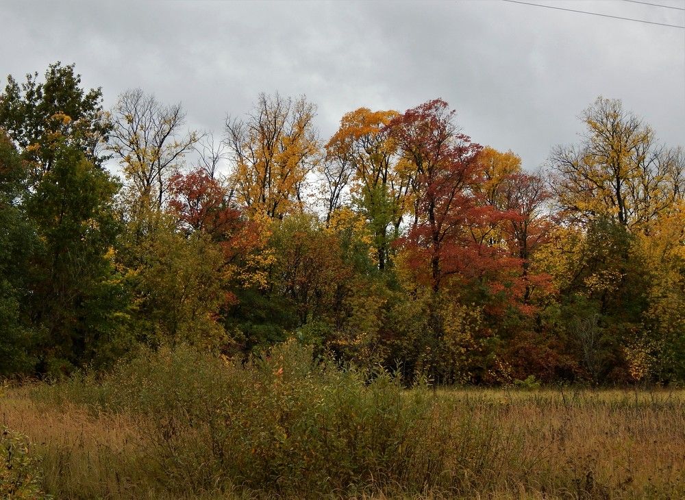 Photograph by Ирина Самойленко