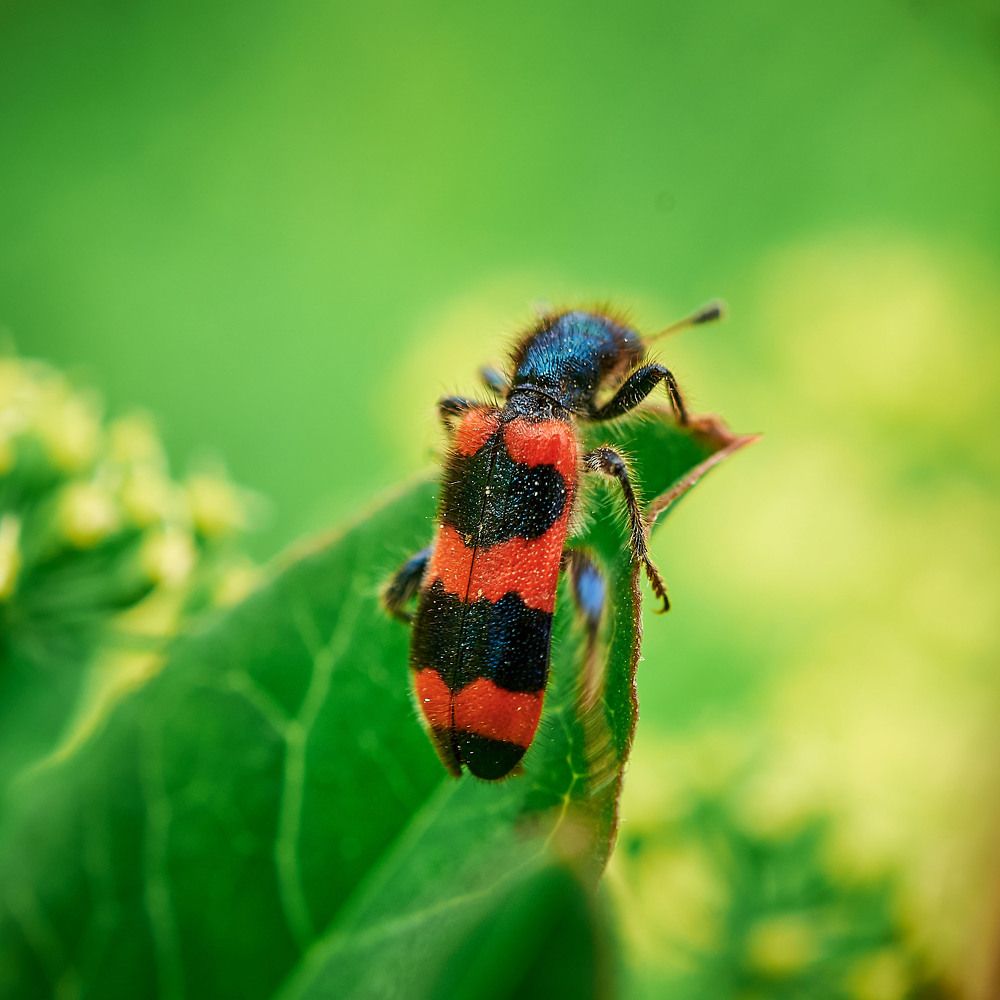 Photograph by Константин Усов