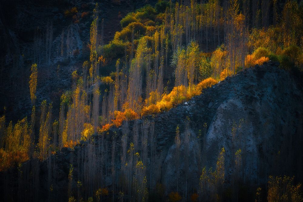 Photograph by Ghalib Hasnain