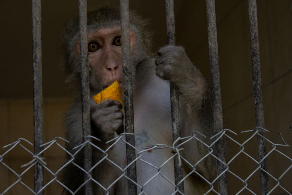 Photograph by Александр Кишиневский