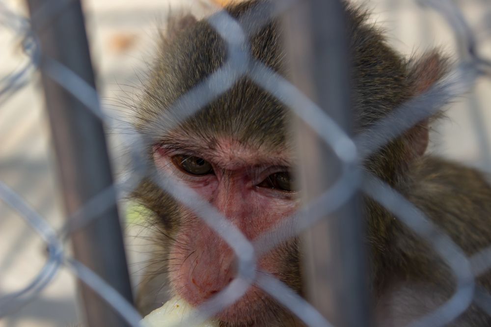 Photograph by Александр Кишиневский