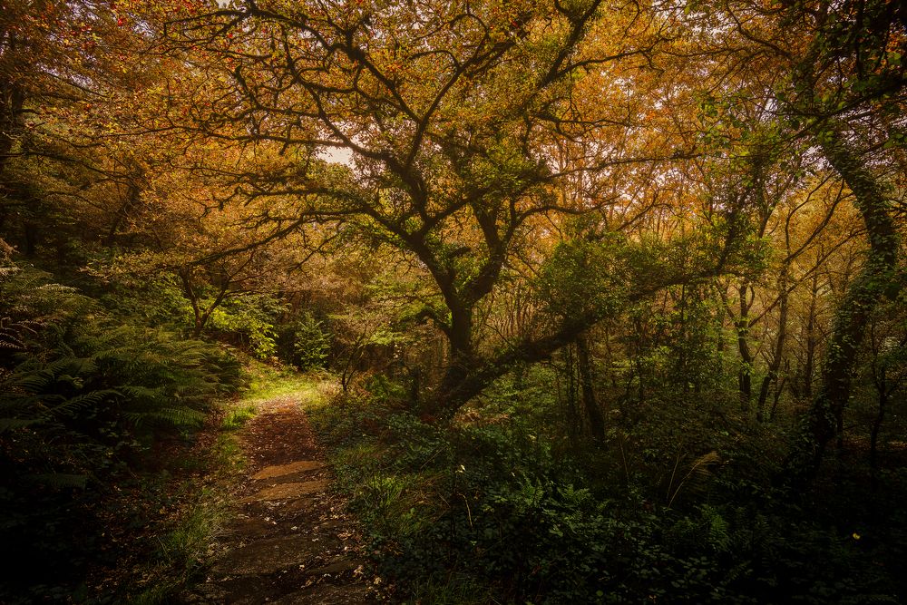 Photograph by Damian Varela