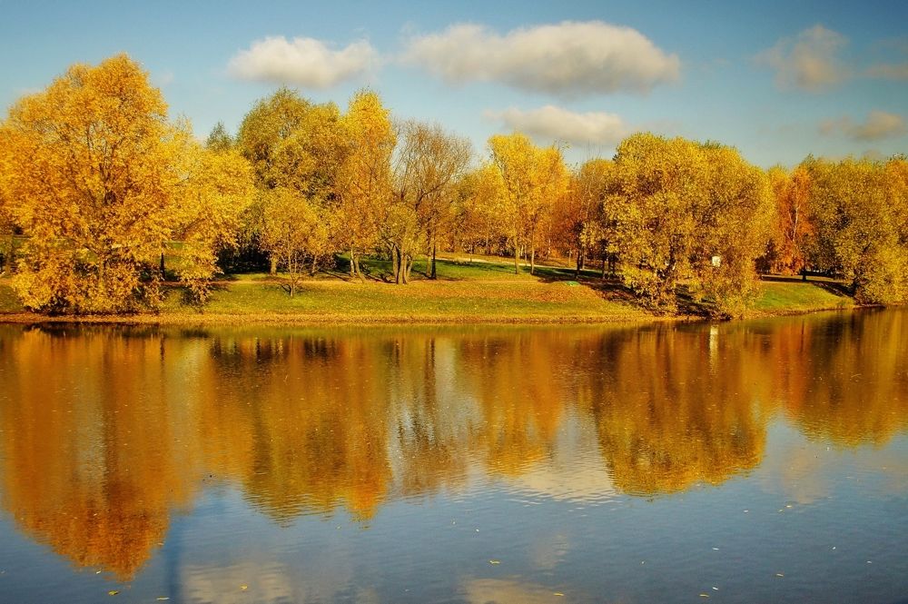 Photograph by Tatyana Markova