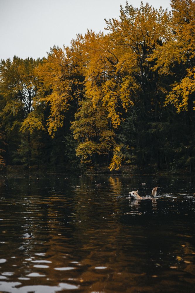 Photograph by Юлия