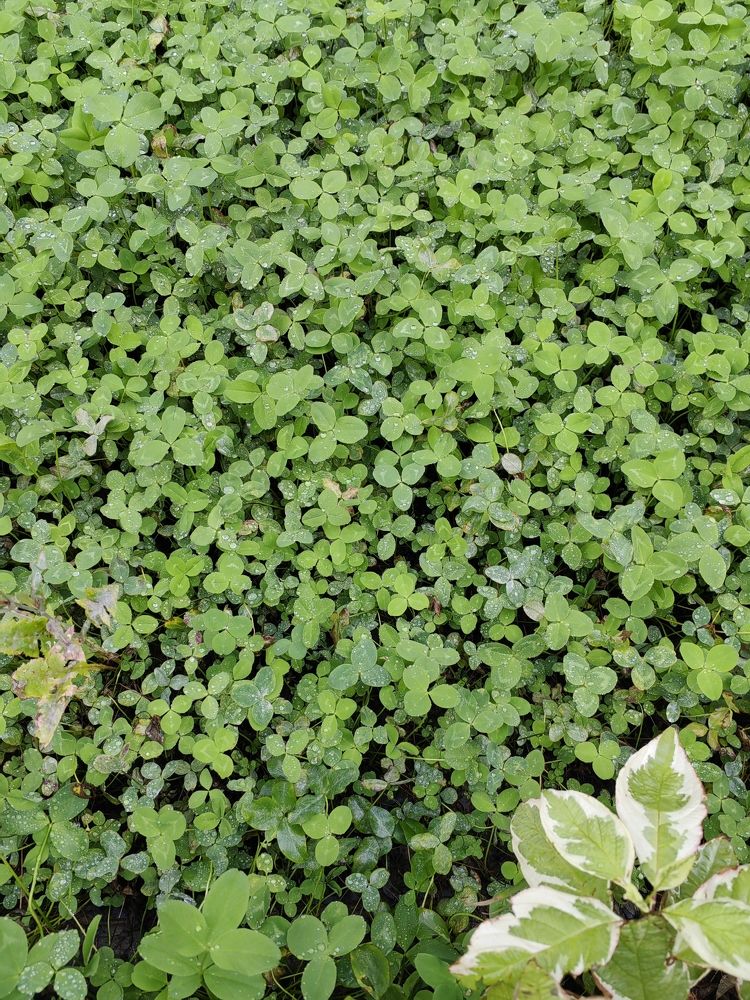 Photograph by Наталья Сергеевна Крылова