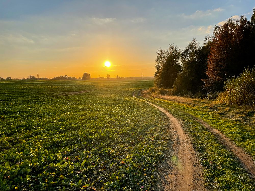Photograph by Виктория Уварова
