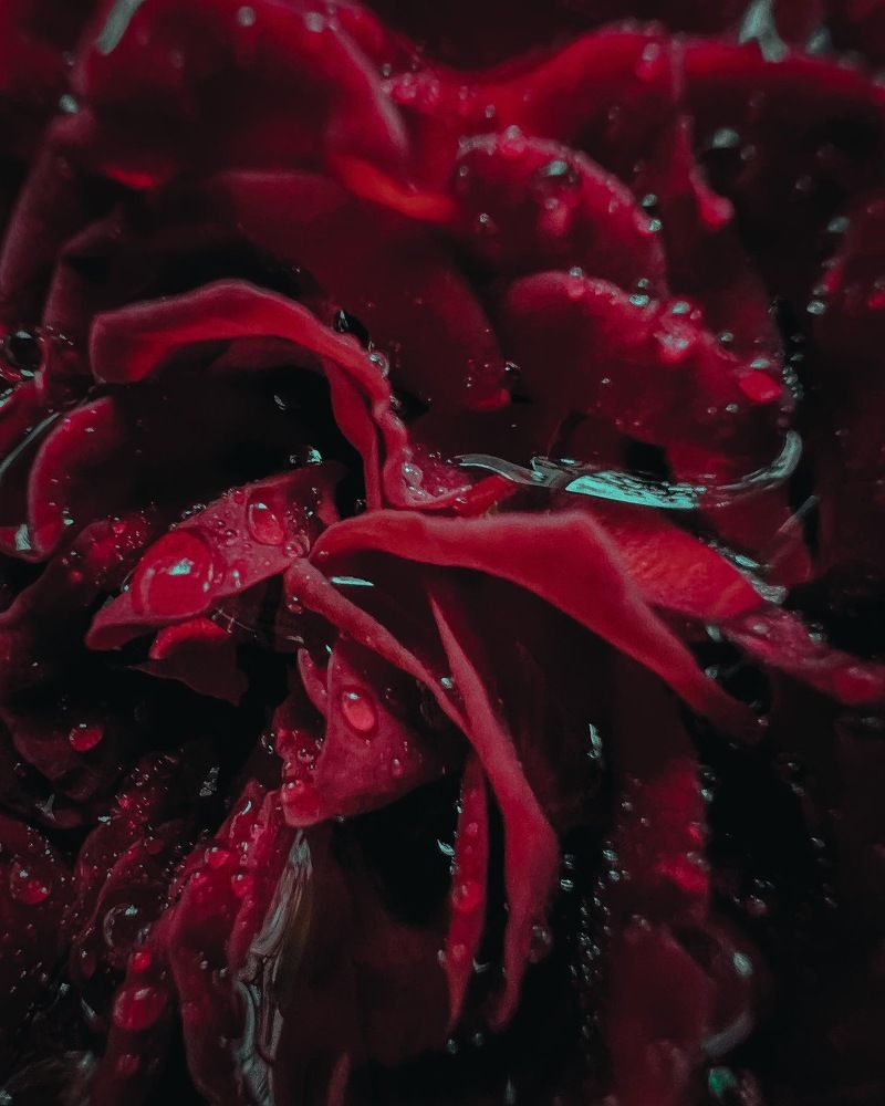 Photograph by Элеонора Ер