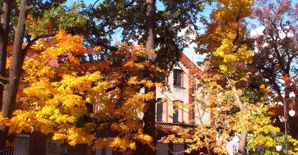 Фотография автора Нина Калинина