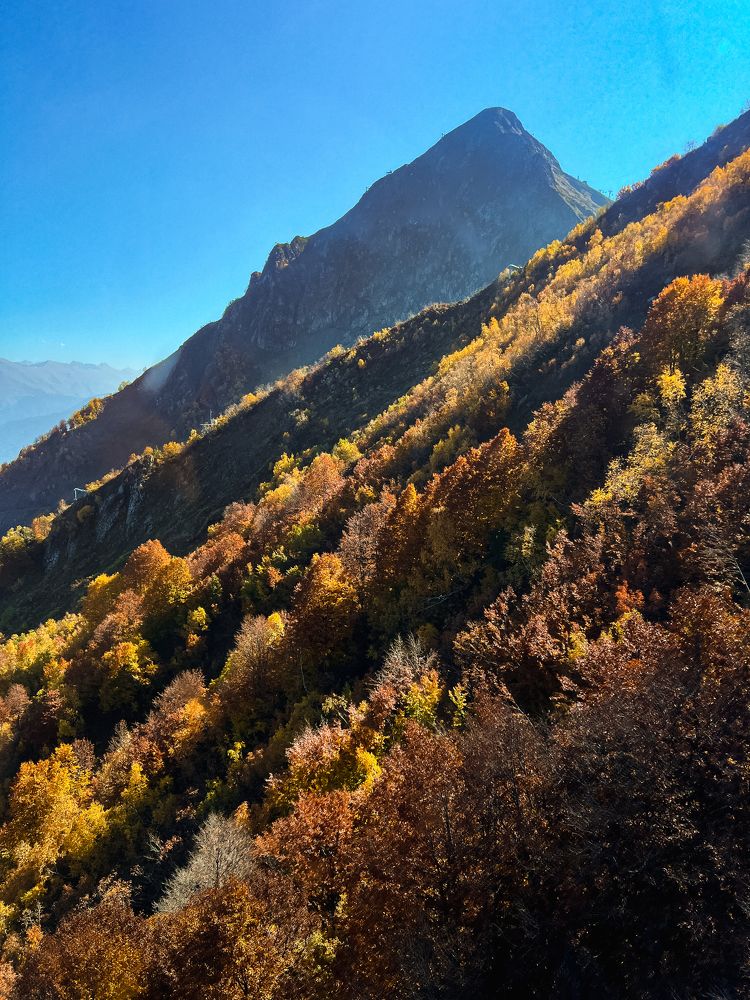 Photograph by Марина Скворцова